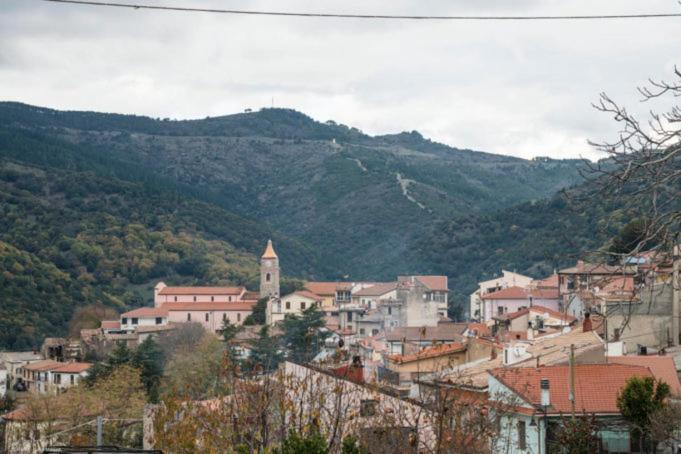 Sa Stiddiosa Guesthouse Gadoni Экстерьер фото